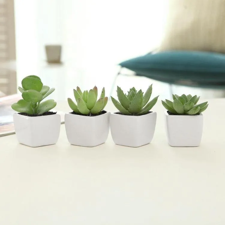 Artificial Succulents in White Square Pots, Set of 4