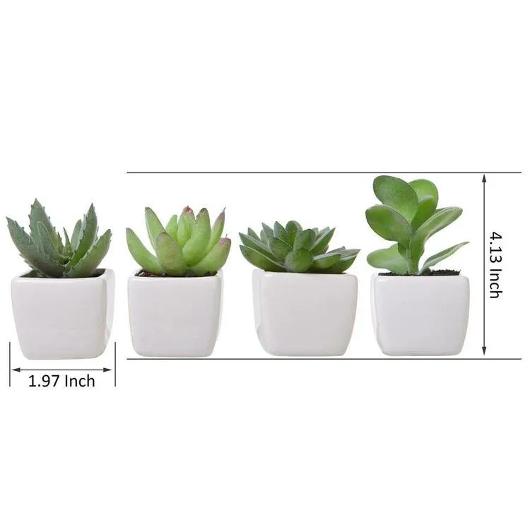Artificial Succulents in White Square Pots, Set of 4