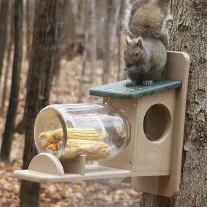 Birds Choice Recycled Squirrel Jar Feeder