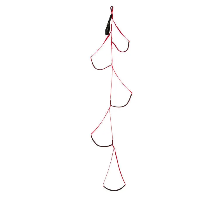 Black Diamond Alpine Aider