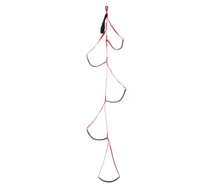 Black Diamond Alpine Aider