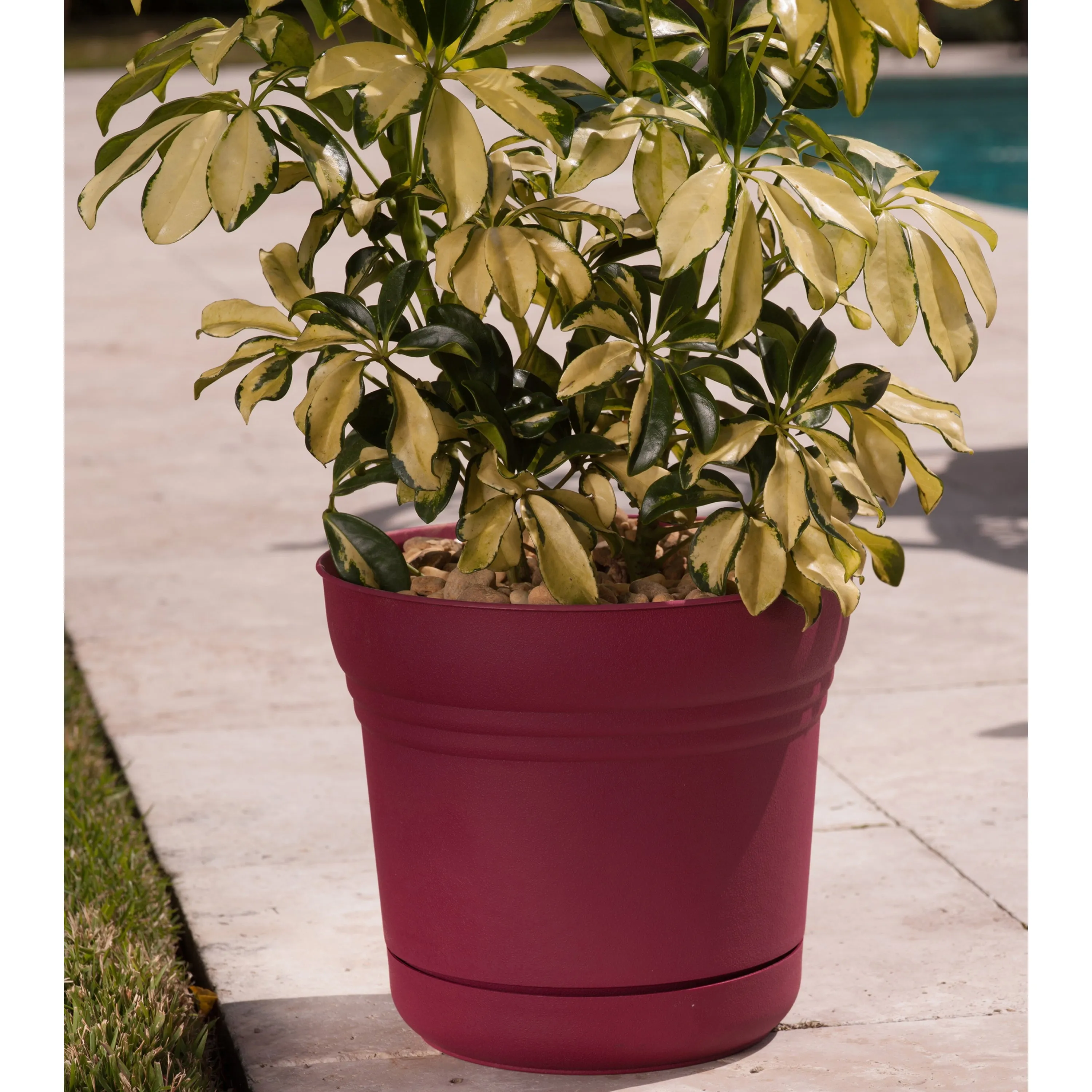 Bloem Saturn SP1212 Planter, 10.8 in W, Polypropylene, Union Red