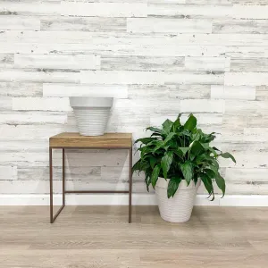 Carve Finish Planter - White - 14-inches
