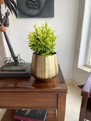 Decorative Golden Metal Stratton Floor Planter | Table Flower Pot For Home Decor