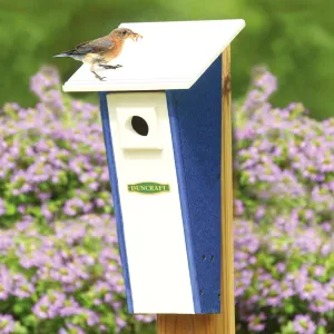 Duncraft Bird-Safe® Peterson Bluebird House