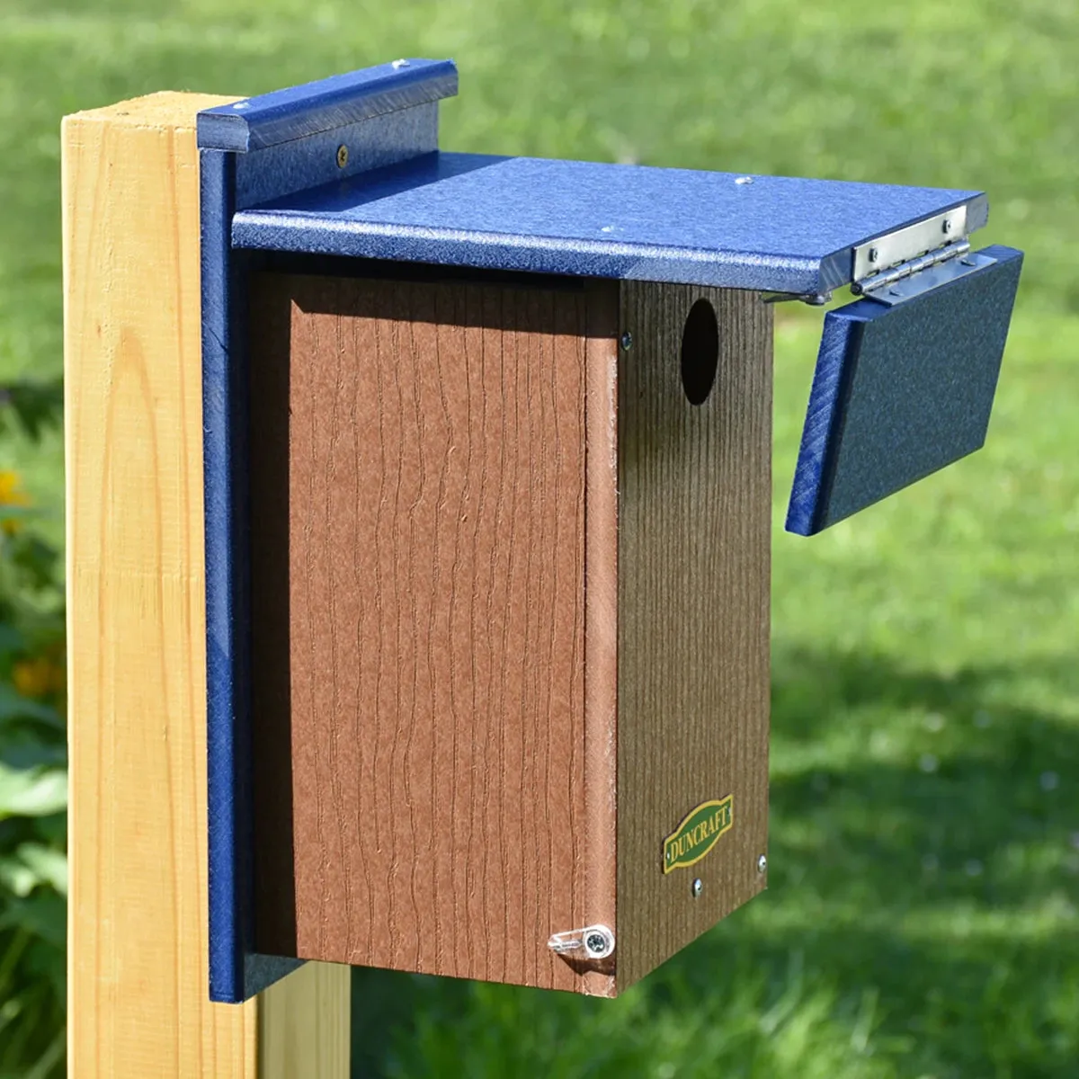 Duncraft Wren Shield Bluebird House with Side View