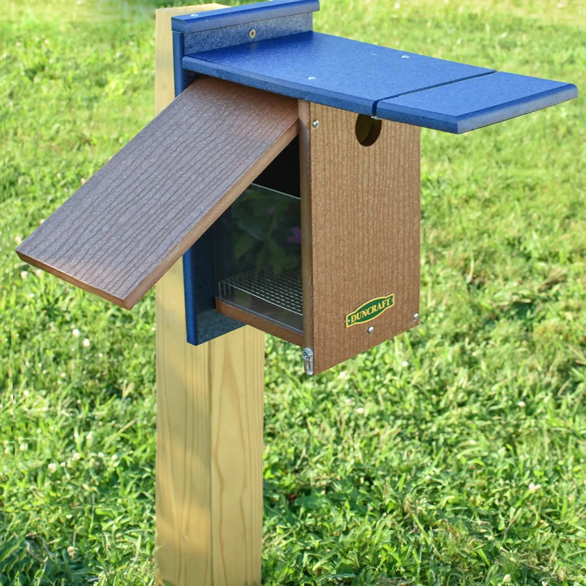 Duncraft Wren Shield Bluebird House with Side View