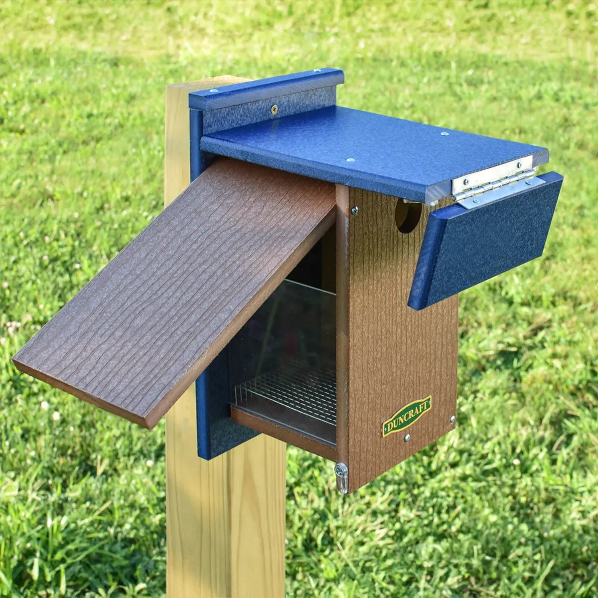 Duncraft Wren Shield Bluebird House with Side View