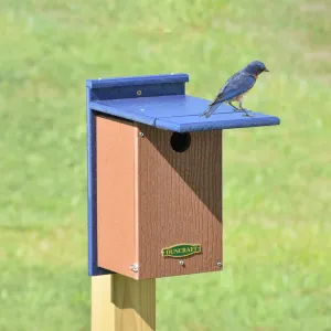 Duncraft Wren Shield Bluebird House with Side View