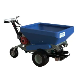 ECO 250
