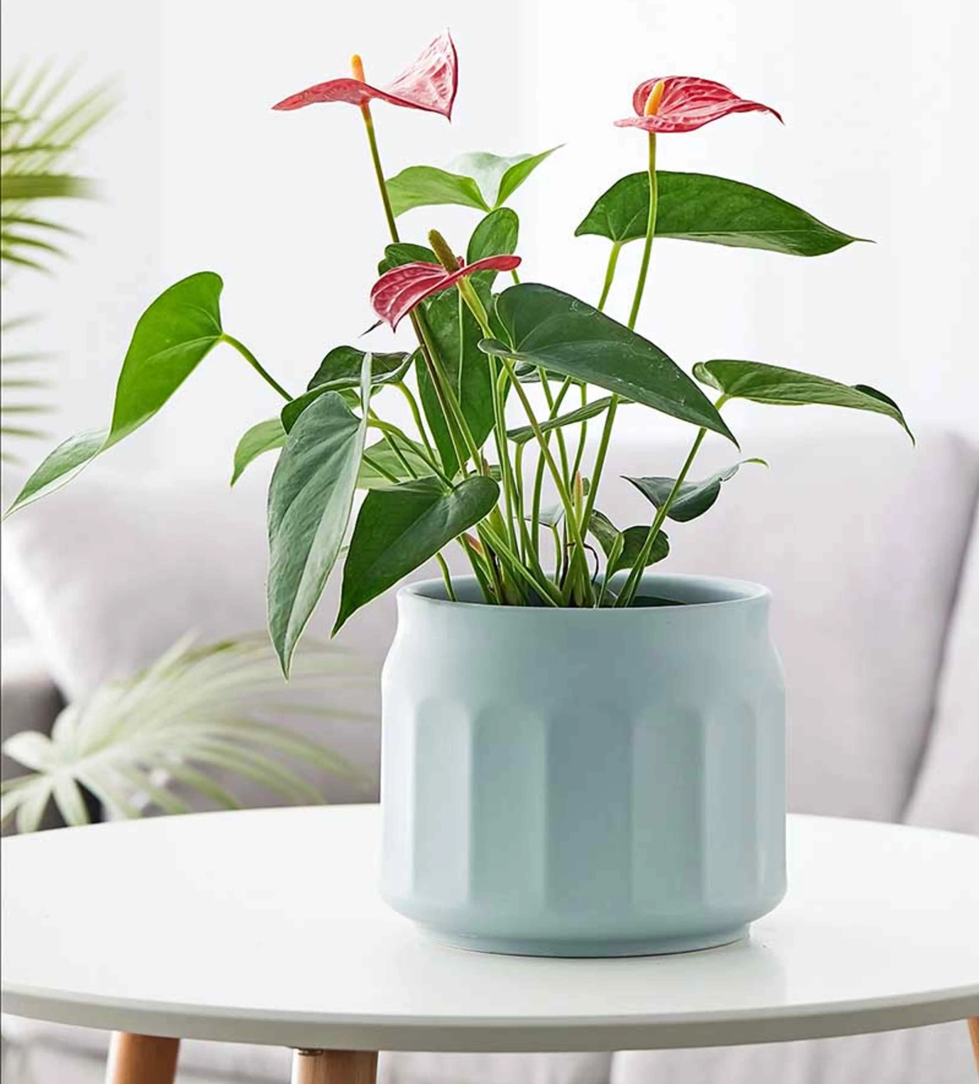 Elegant Frosted Ceramic Planter in Pastel Blue