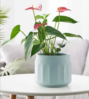 Elegant Frosted Ceramic Planter in Pastel Blue
