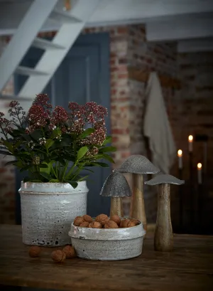 Eva Planters