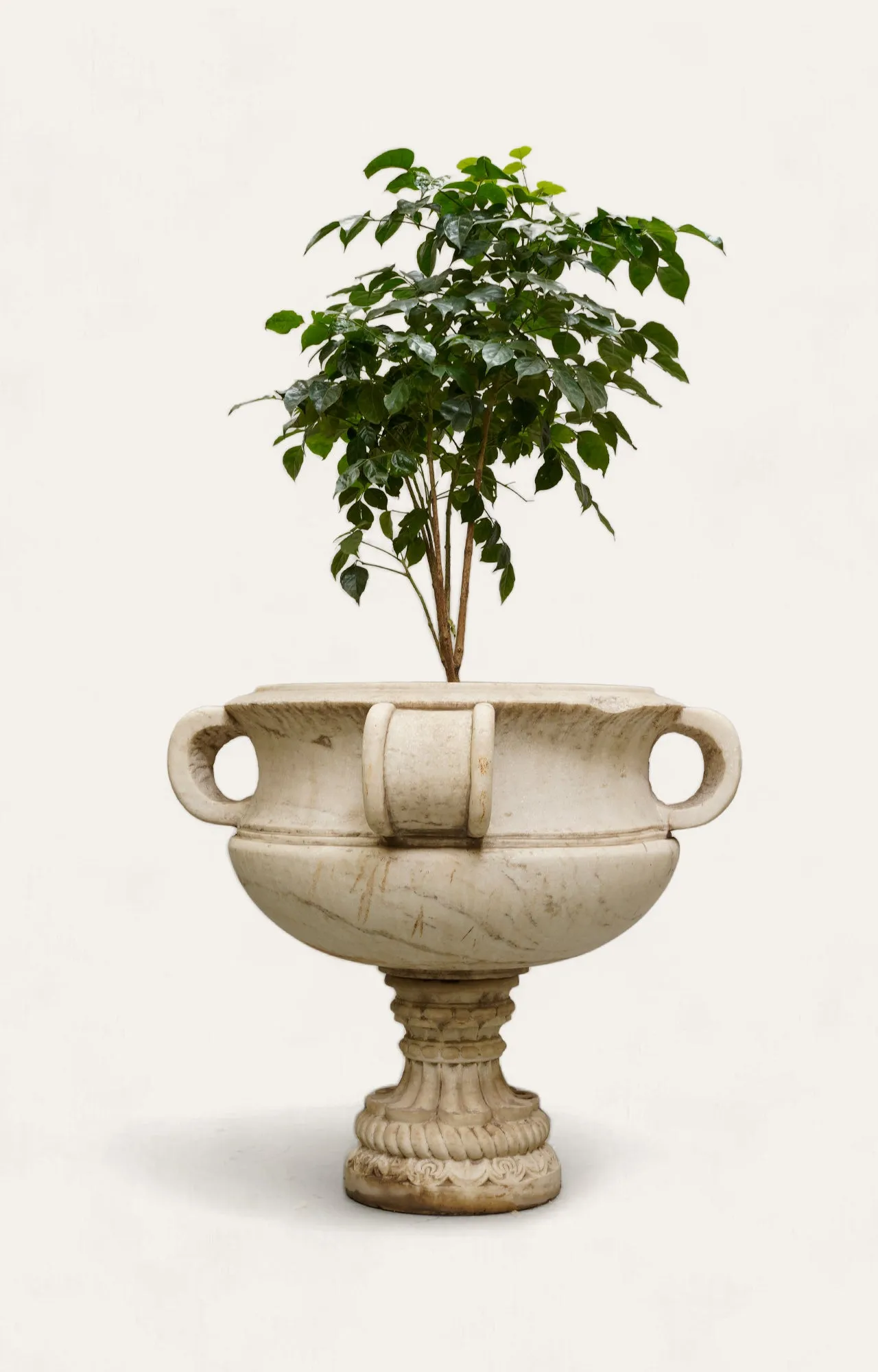 Floral Ring Marble Planter