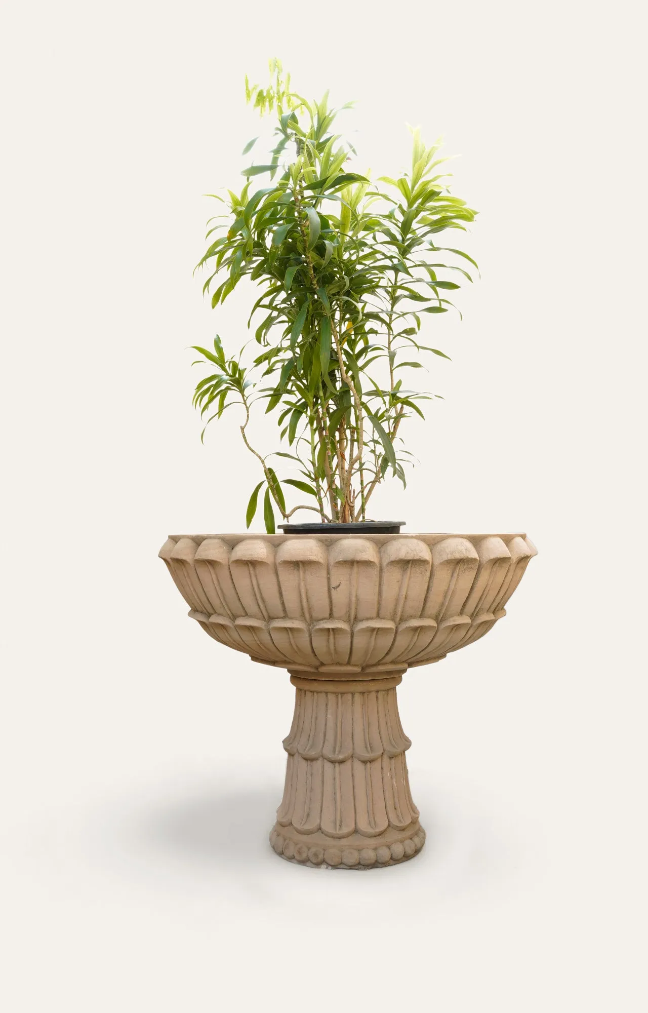 Flower Sandstone Planter