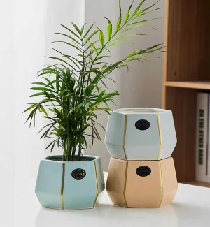 Gold Edge Pastel Charm Geometric Indoor Planter