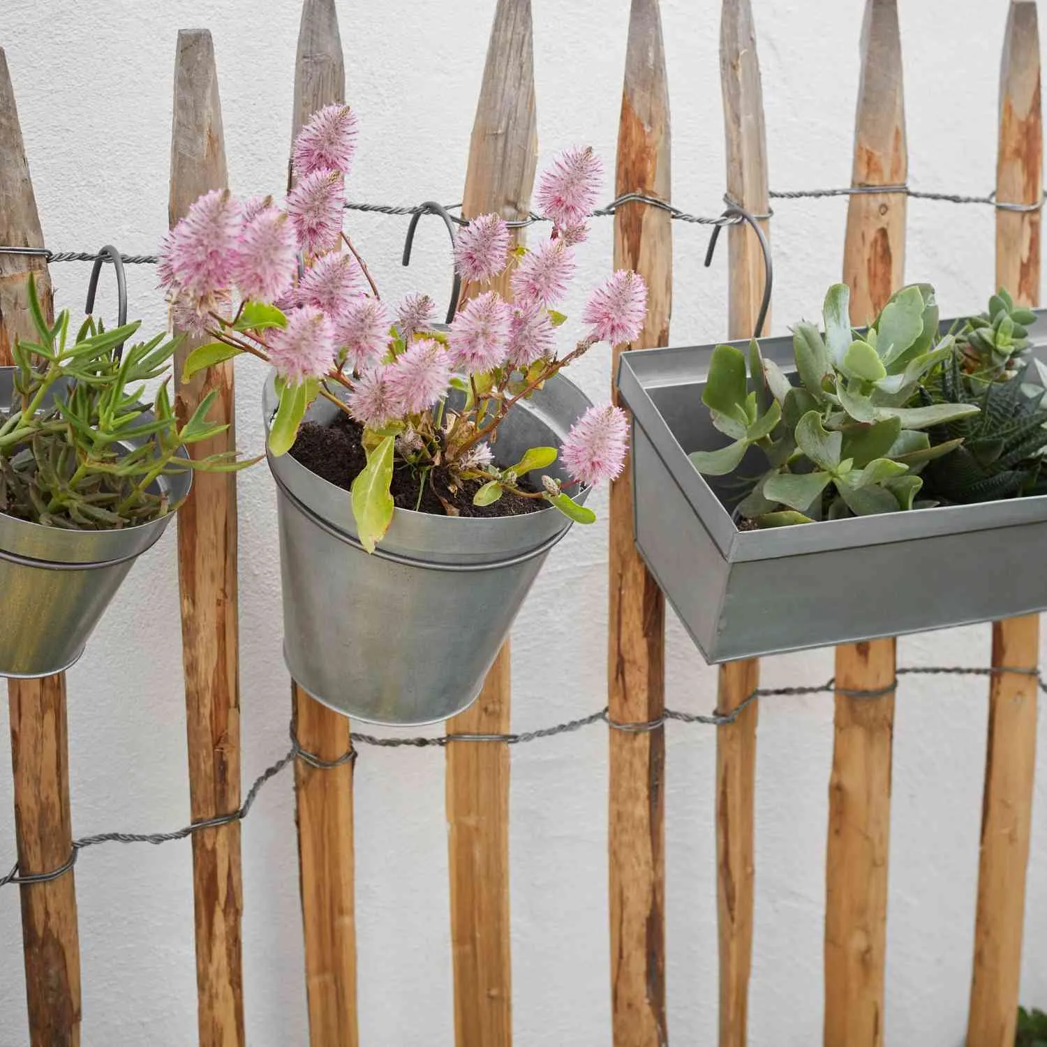 Hanging Planter | Round