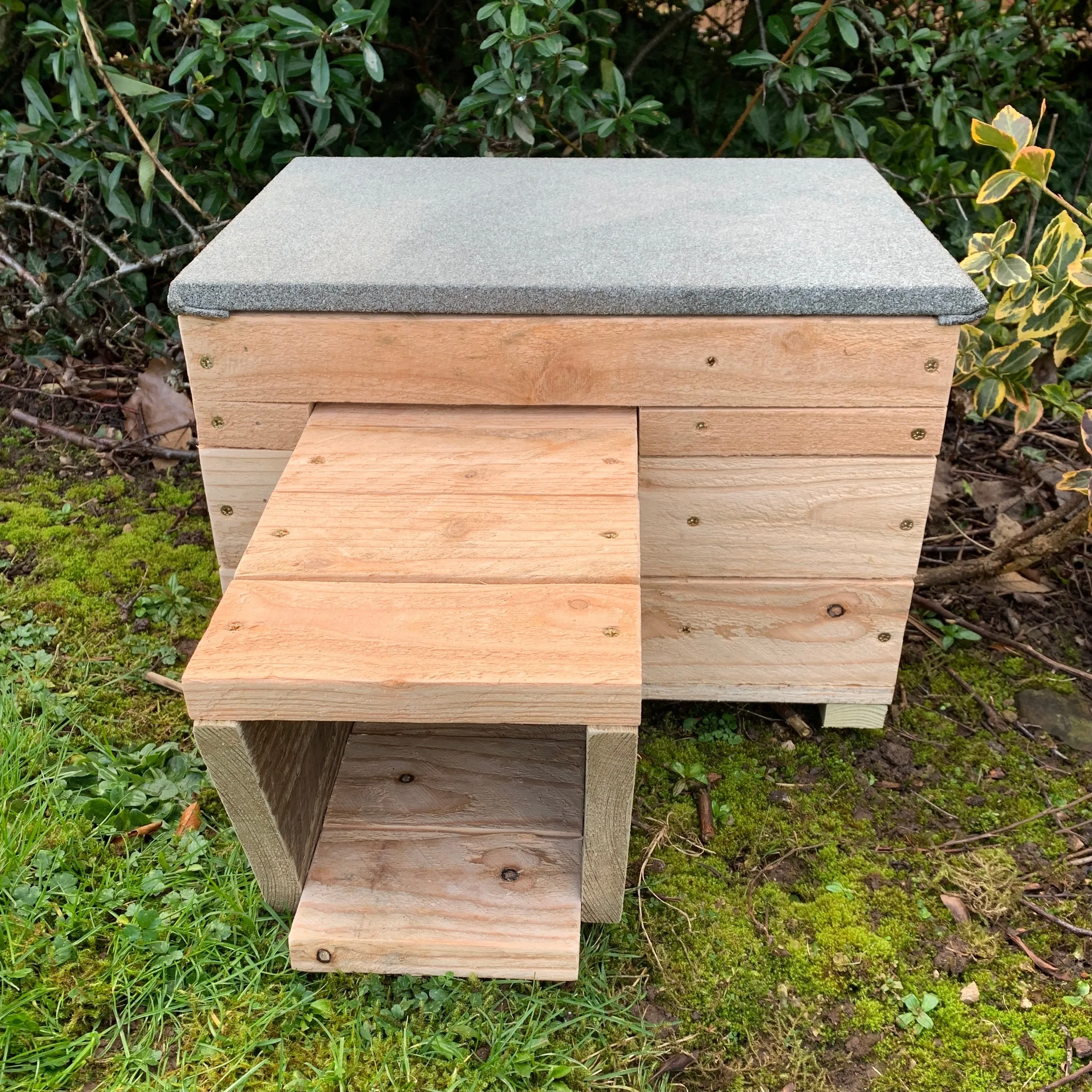 Hattie The Hedgehog Box
