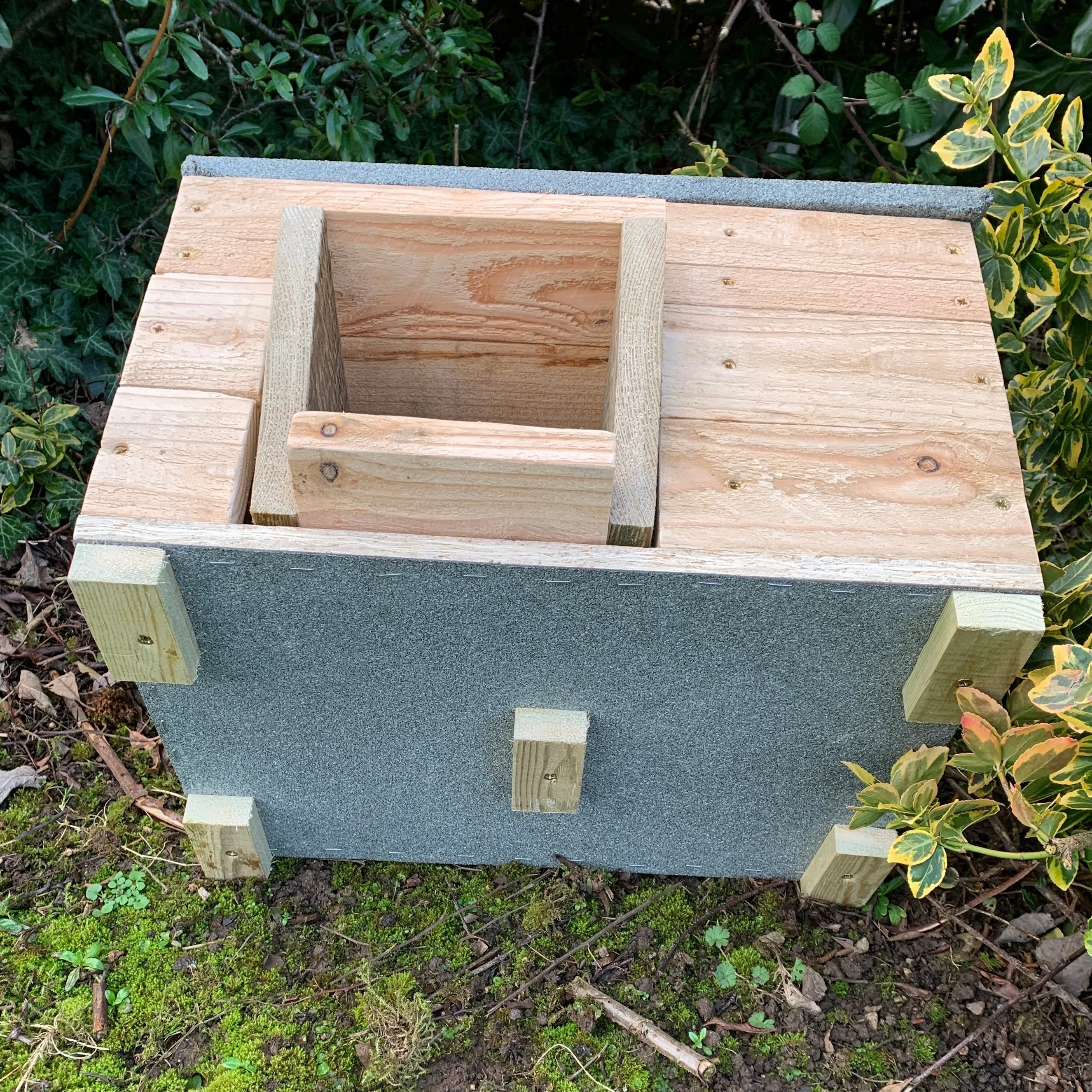 Hattie The Hedgehog Box