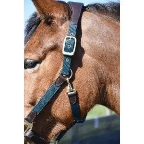 Heritage Anatomical Leather Lined Headcollar