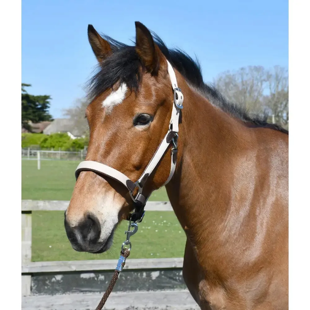 Heritage Padded Leather Lined Headcollar