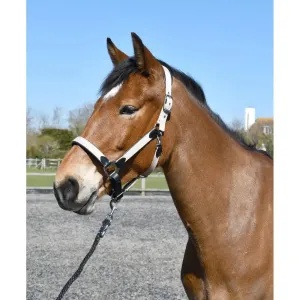 Heritage Padded Leather Lined Headcollar