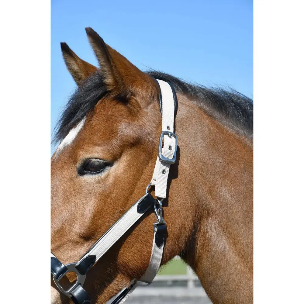 Heritage Padded Leather Lined Headcollar