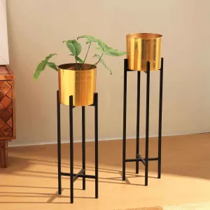Jardiniere (Planter Pot - Set of 2)