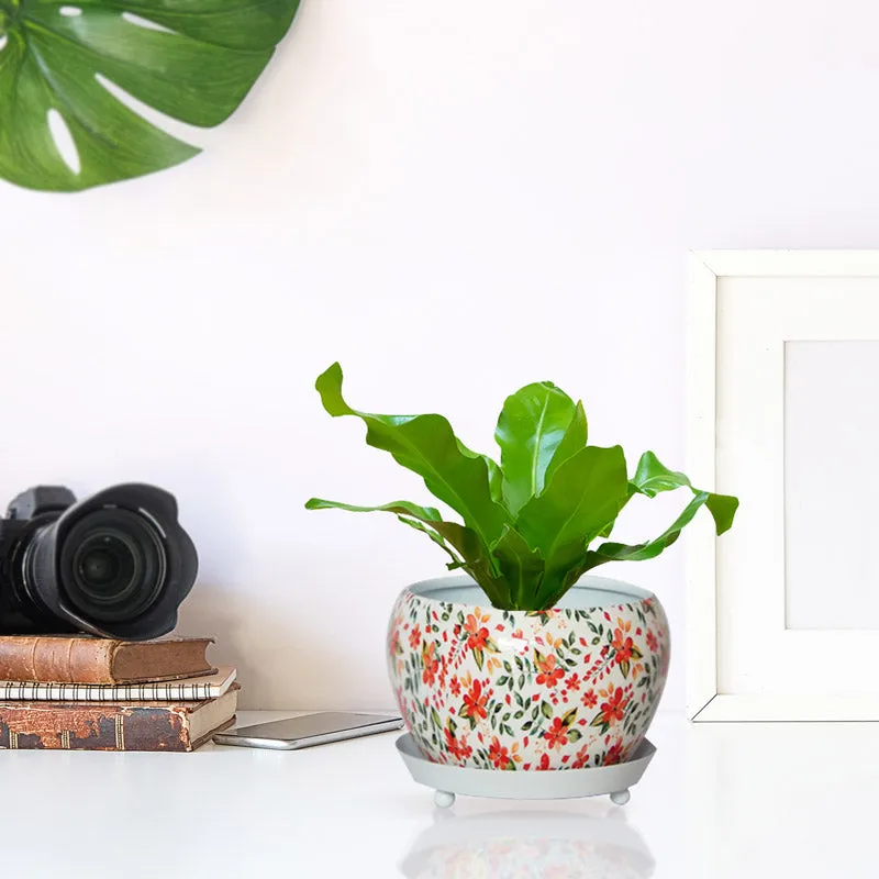 Julietta Peach Floral Planter With Plate
