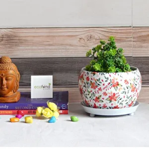Julietta Peach Floral Planter With Plate