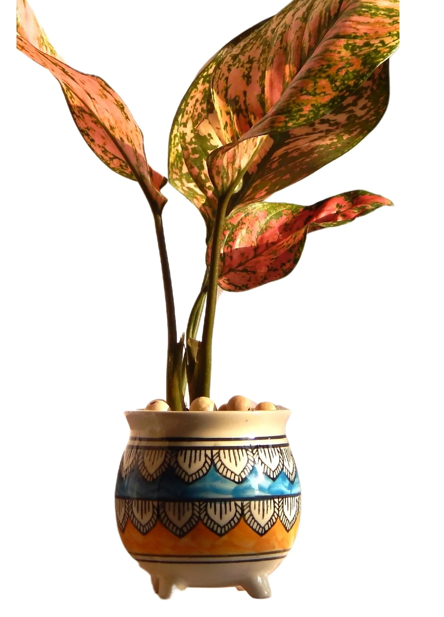 Mataka Design Ceramic Planter Without Flowers