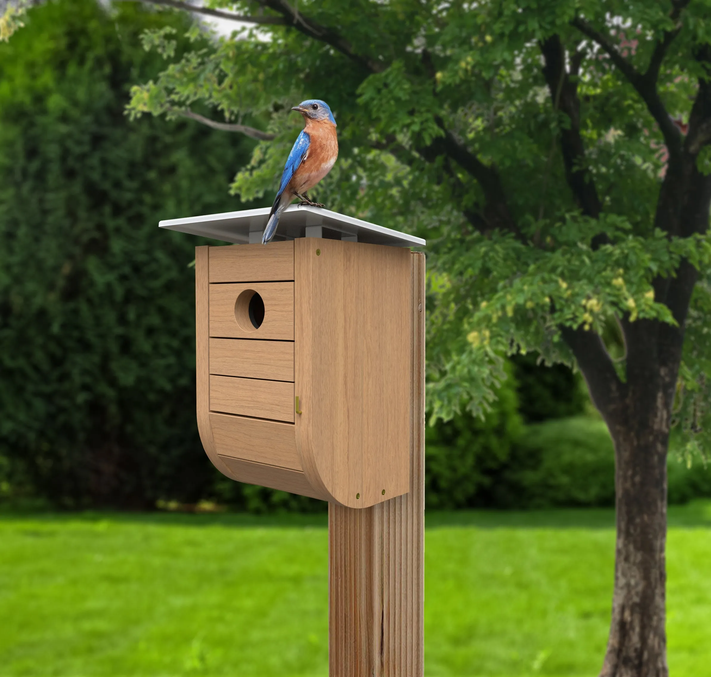Nordic Habitat Modern Bluebird House