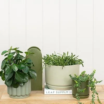 Oslo Planter Wide - Peach