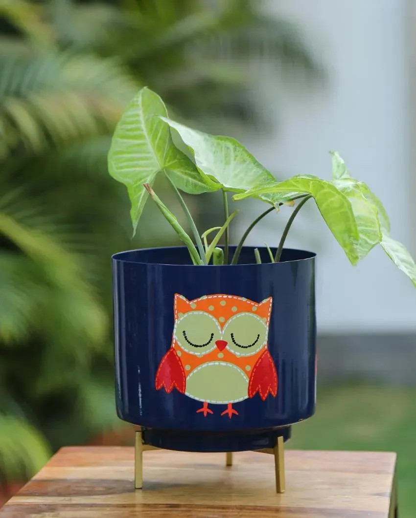 Printed Design Hand Painted Planter