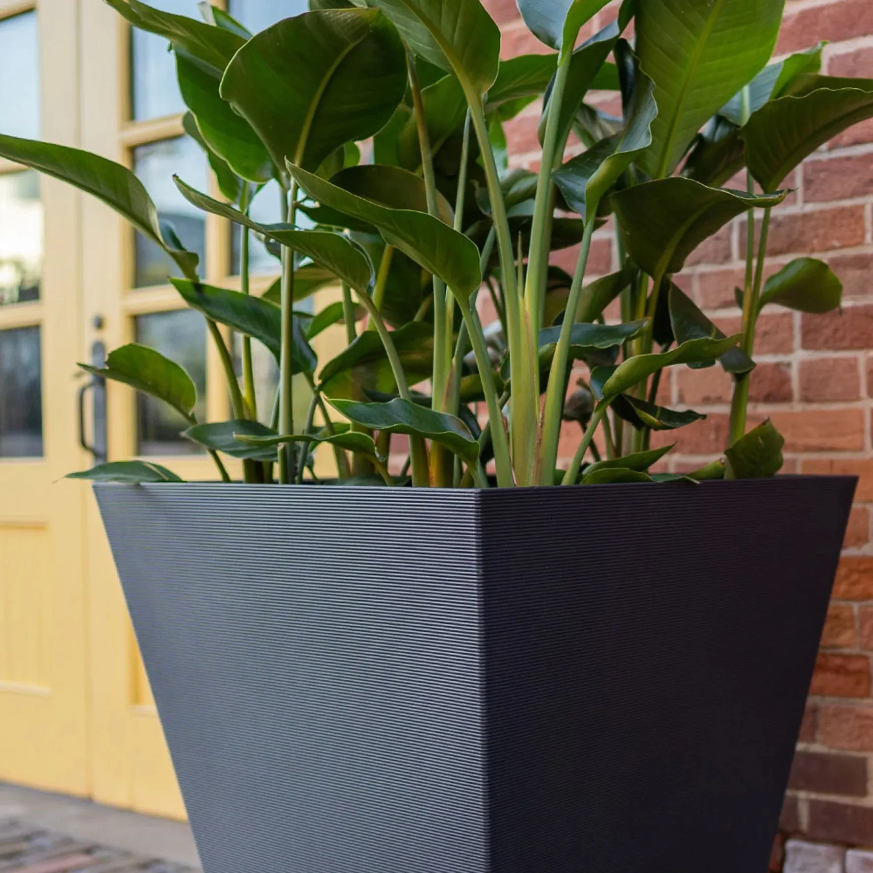 Pro Tapered Polyresin Planter