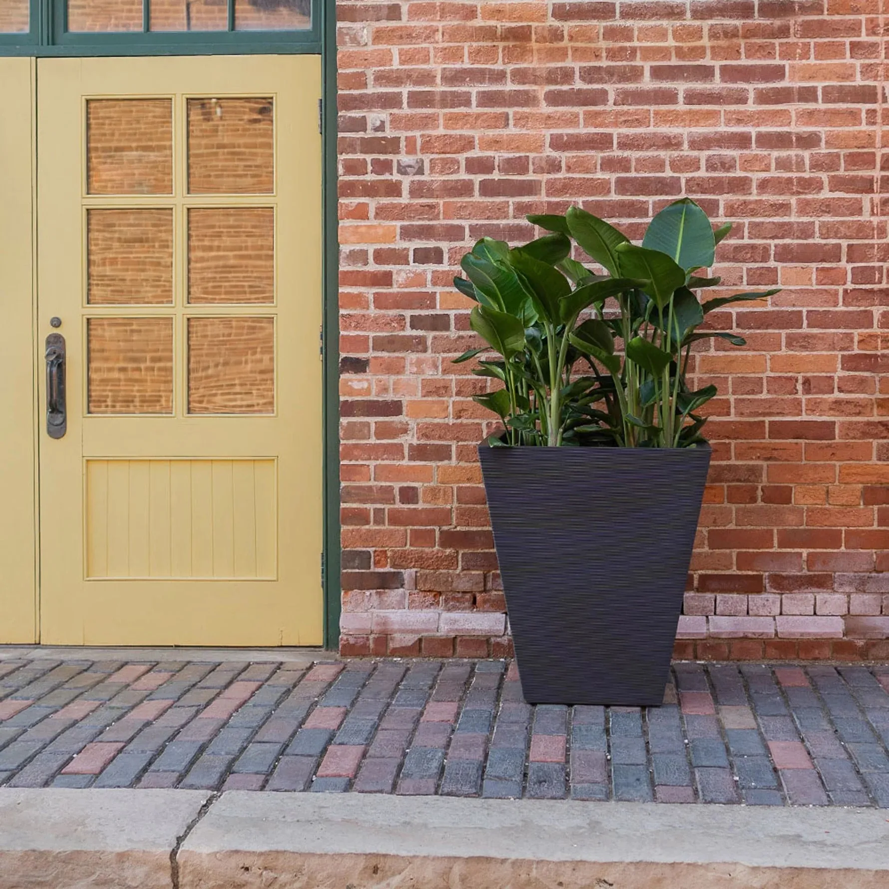 Pro Tapered Polyresin Planter