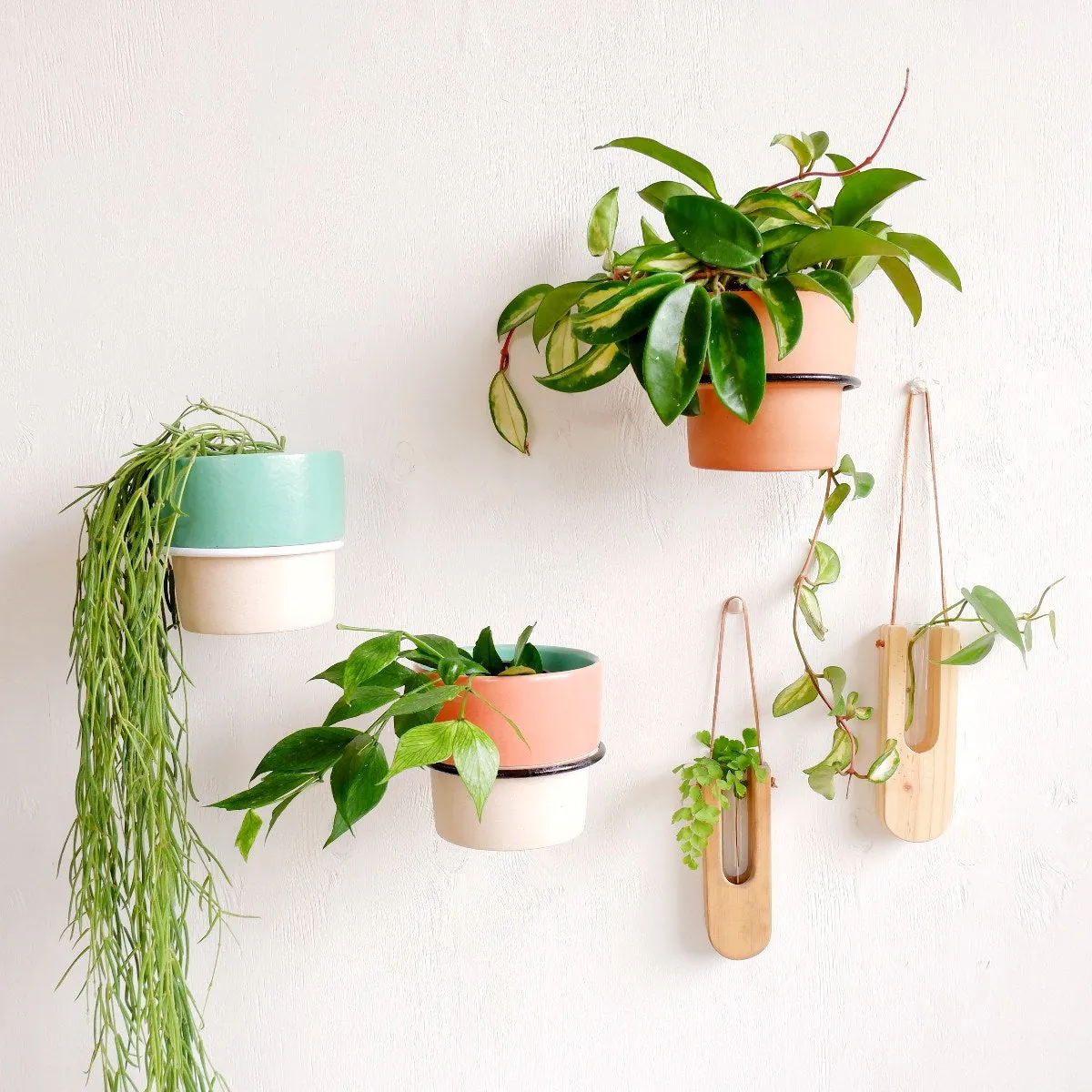 Ravi Wall Pot Holder - White