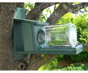 Recycled Plastic Squirrel Jar Feeder