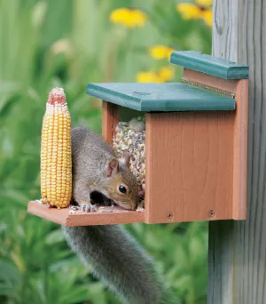 Recycled Squirrel Munch Box