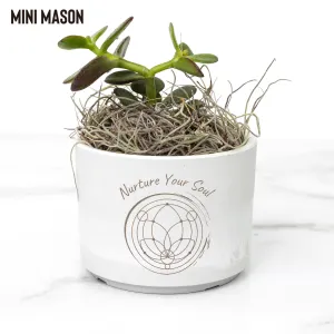 Sacred Roots: Eco-Friendly Mini Planters for Mindful Space