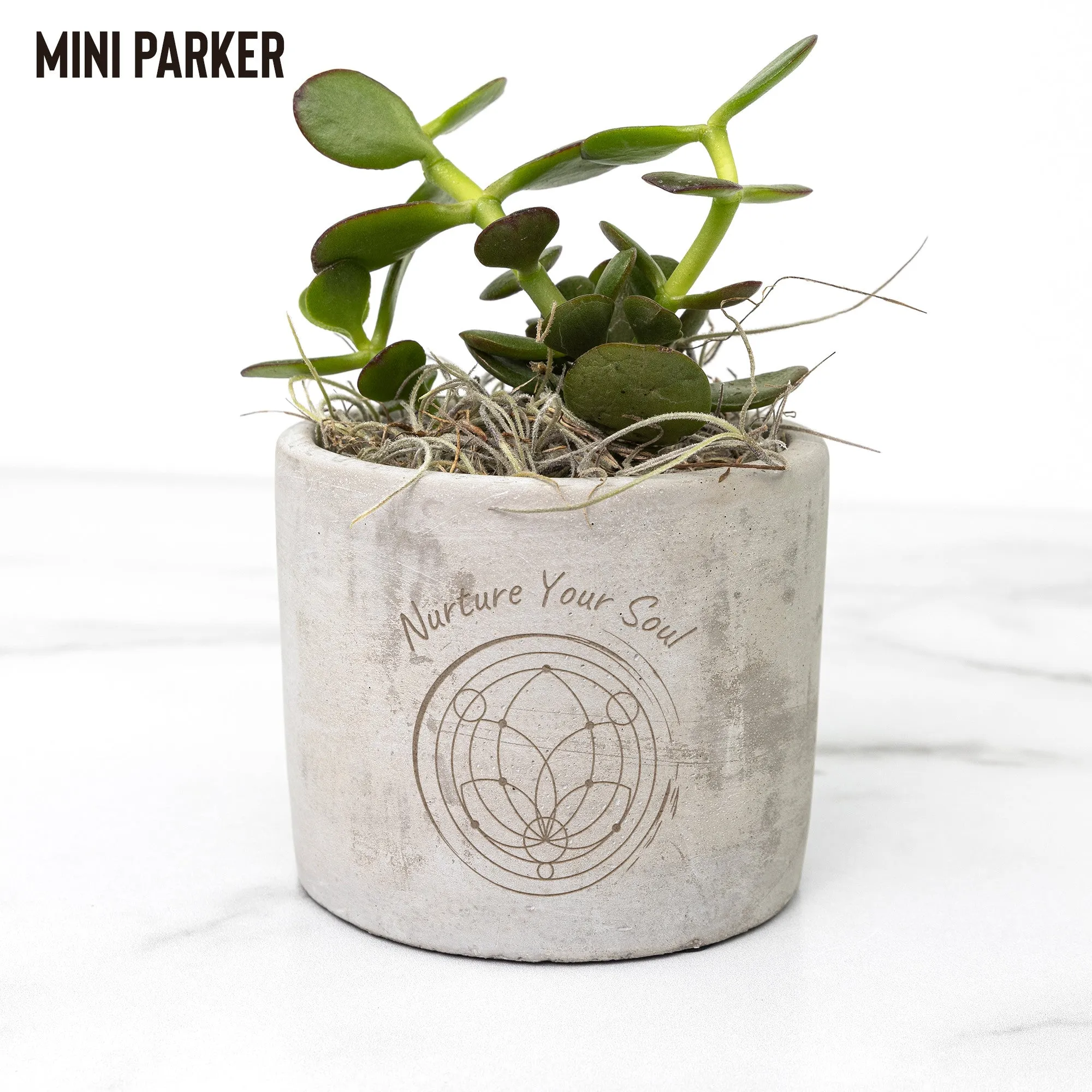 Sacred Roots: Eco-Friendly Mini Planters for Mindful Space