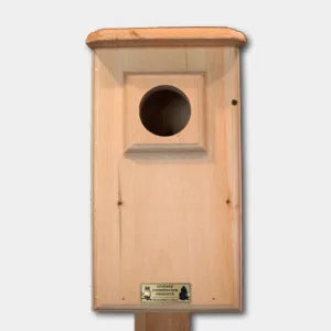 Saw-whet / Screech Owl Hse