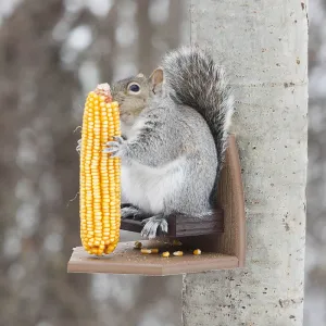 Squirrel Corn Recliner