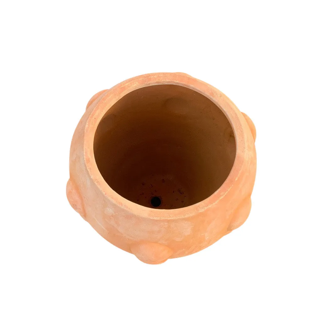 Uman Pot