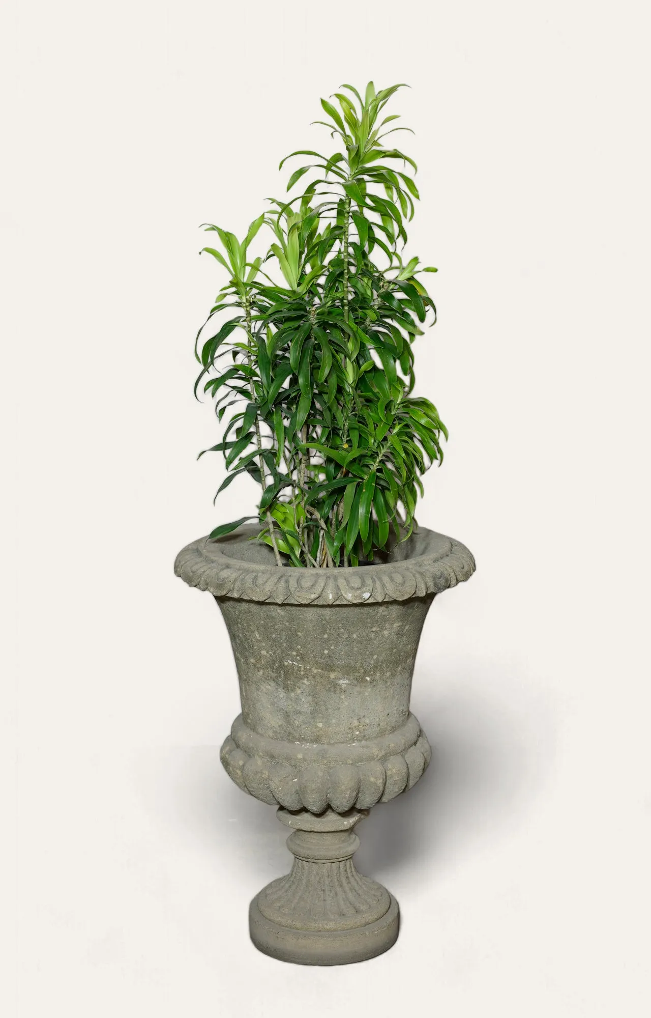 Vintage Concrete Urn Planter